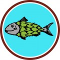Sawbelly Brewing badge logo