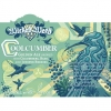 Coolcumber by Wicked Weed Brewing