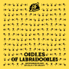 Oodles of Labradoodles label