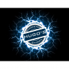 Hugo's Shocking Saison label