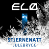 STJERNENATT - Julebrygg label