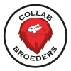 Collab Broeders #02 Passievrucht - Mango label