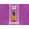 Secret Beach Mango Pineapple Sour label