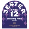 Jester Brew 12 - Blackberry Porter label