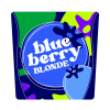 Blueberry Blonde by Moeller Brew Barn
