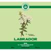 Labrador label
