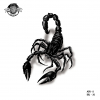 Scorpion Arachnids label