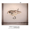 URBAN CAMOUFLAGE | first rebirth series 1/5 label