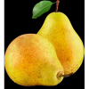 Just One Pear label