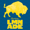 Blueberry LMN ADE label