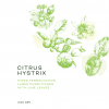 Citrus Hystrix label