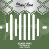 Bounded Sounds by Phase Three Brewing