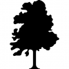 Grimaas Bryggeri logo