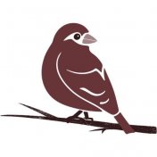 The Wine Finch logo